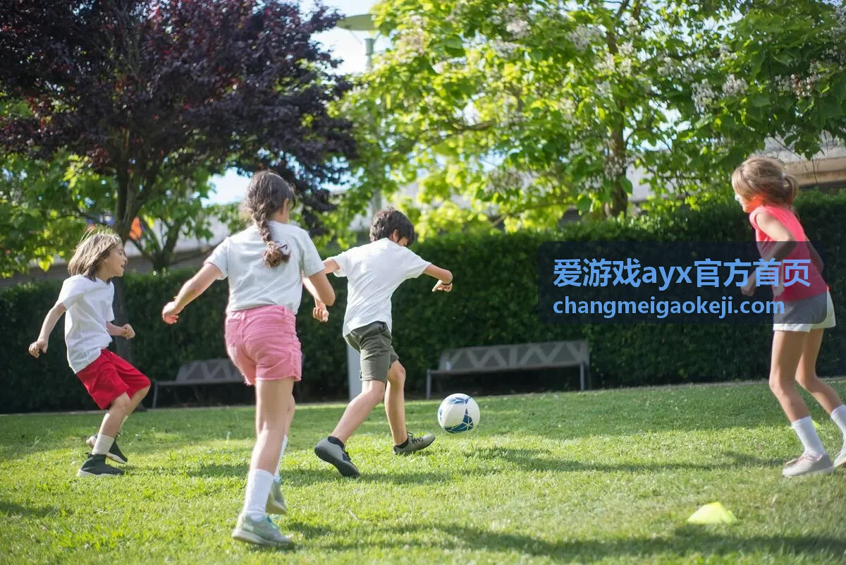 爱游戏ayx官方首页搜索框使用示意