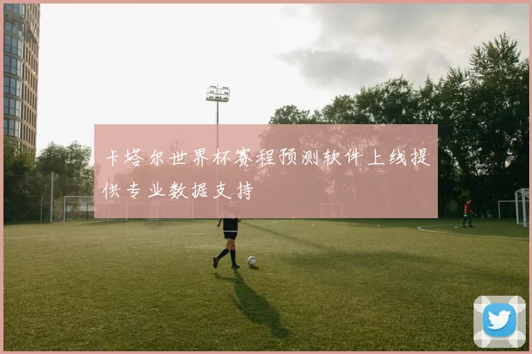 卡塔尔世界杯赛程预测软件上线提供专业数据支持