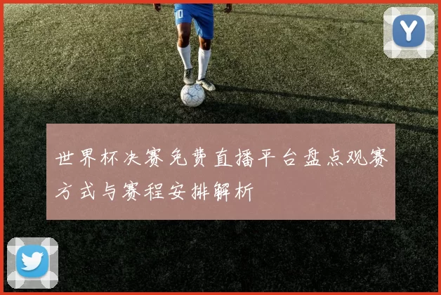 世界杯决赛免费直播平台盘点观赛方式与赛程安排解析