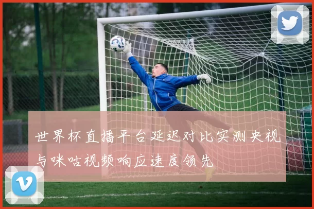 世界杯直播平台延迟对比实测央视与咪咕视频响应速度领先