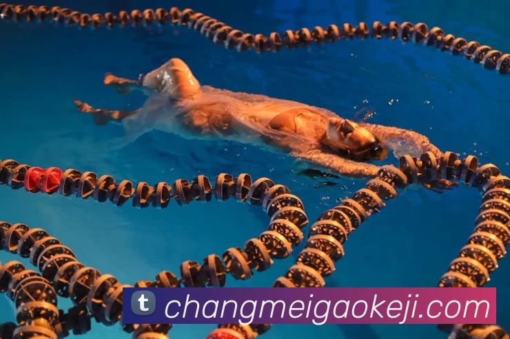 星空体育中国官方网站APP 封面图